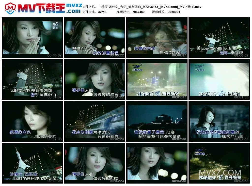 王瑞霞-落叶命_台语_流行歌曲_MA405153